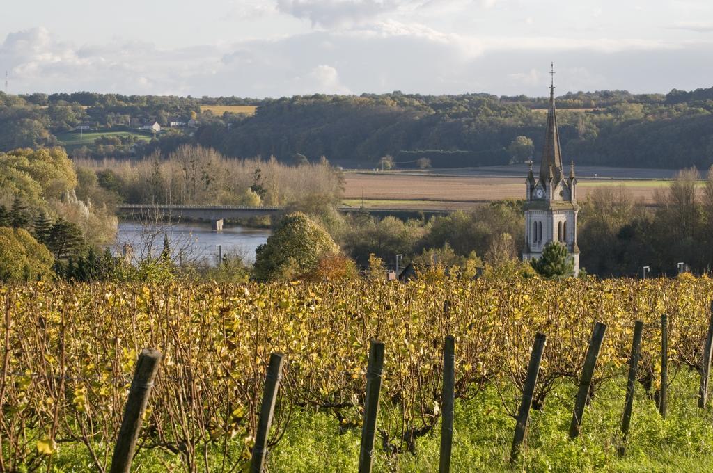 Gite Du Domaine Du Haut Perron Villa Thésée Exterior foto