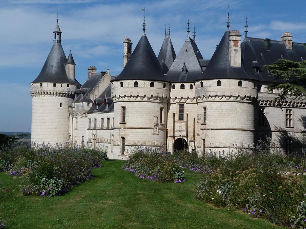 Gite Du Domaine Du Haut Perron Villa Thésée Exterior foto